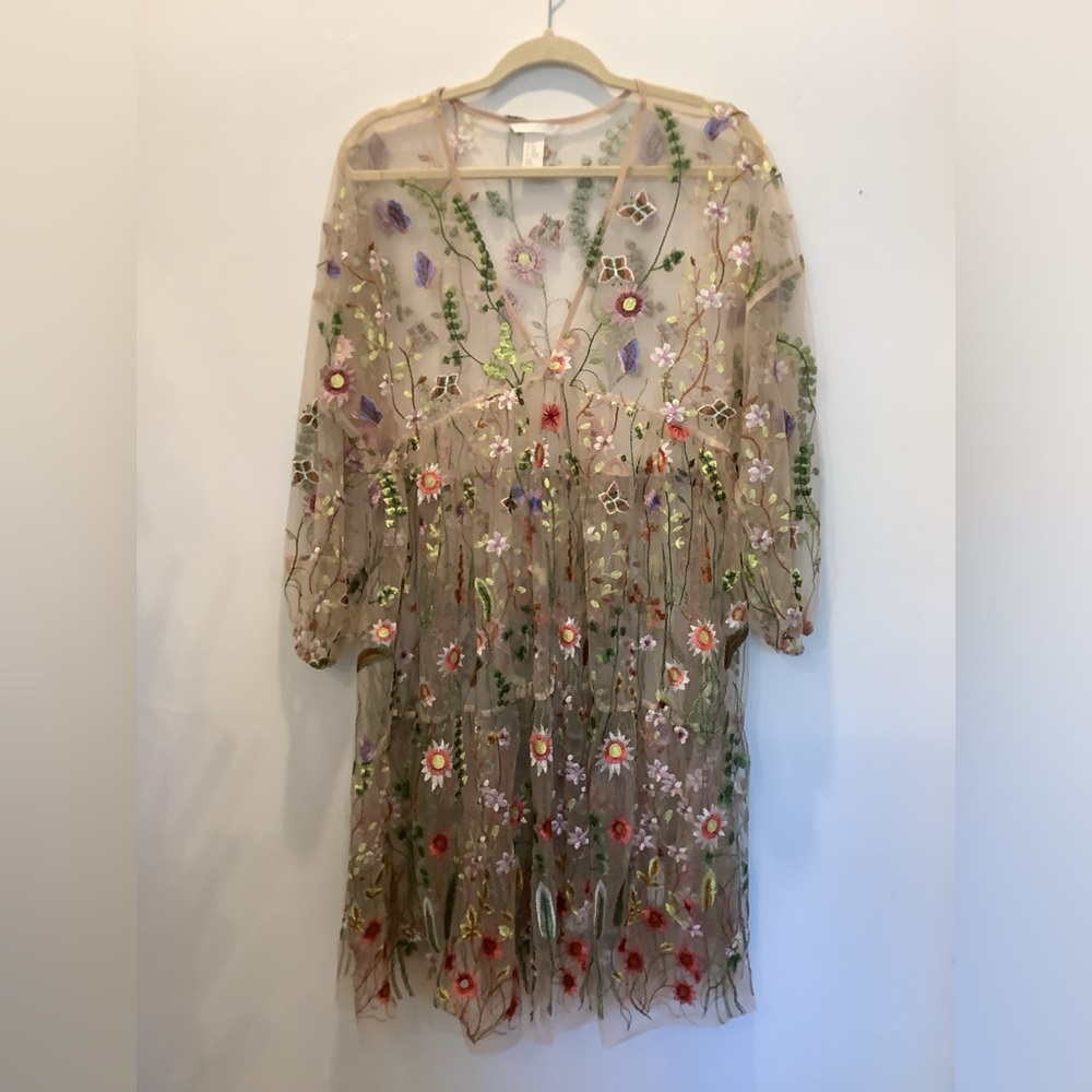 H&M embroidered sheer dress *fits a wide size range*